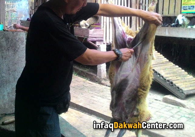 Tumbuh Kembang Bayi Husnul Khotimah